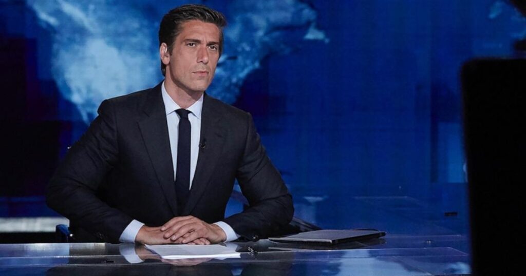 David Muir Professions
